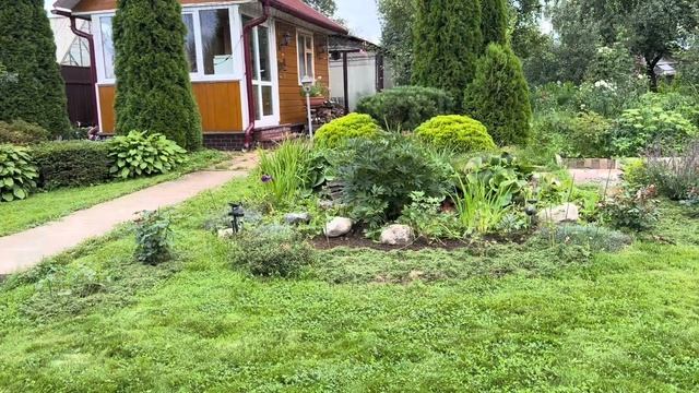 Пересадила розы. Сад в начале августа. 06.08.25 смотреть онлайн