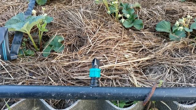 Капельный полив это просто! смотреть онлайн