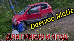 ПОКАТУШКИ ПО ЛЕСНЫМ ДОРОГАМ НА DAEWOO MATIZ