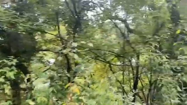 Обзор земельного участка 30 соток на продажу в Ялте пгт смотреть онлайн