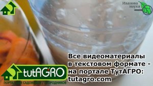 Что делать дальше с выращенной из закваски Боверия-MIX ?