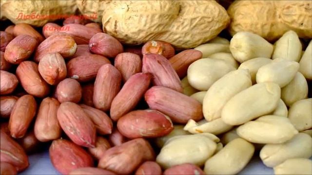 Удивительные факты об орехах. смотреть онлайн