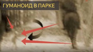 Гуманоид в парке (Дело №275)