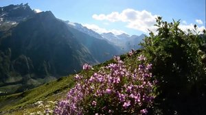 Айдасомной. Эльбрус