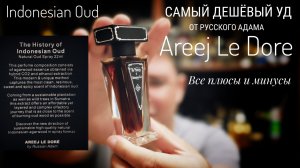 Areej Le Dore Indonesian Oud - самый дешёвый уд от Русского Адама #электропарфюмер #маркинпарфюмрф