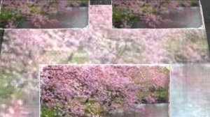 Шепчется с рекою