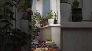 Карта дня 10.09