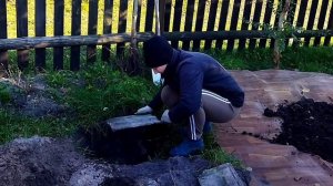 Посадка плодовых деревьев. Белорусская деревня.