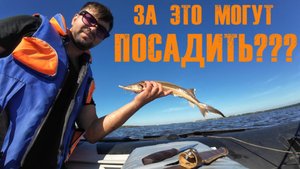 КОШМАР НА РЫБАЛКЕ: СЛОМАЛ МОТОР,СПИННИНГ И ЛОДКУ! ЗА-ТО РЫБКУ СПАС!