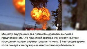 Литовский окурок, брошенный весной, спровоцировал осенью масштабный пожар...