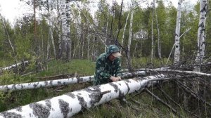 Ножовка Grinda GS 6, 320 мм, обзор испытание. Походная пила.