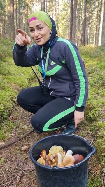 картина маслом, БЕЛЫЕ ГРИБЫ дорогами. полные лукошки. СМОТРЕТЬ ВСЕМ смотреть онлайн