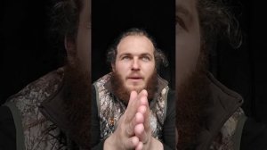 Ежовик гребенчатый: Гриб для мозга, памяти и настроени