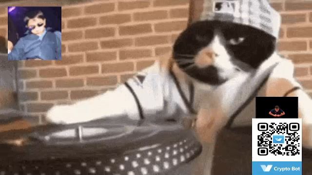 Музыкальный стрим