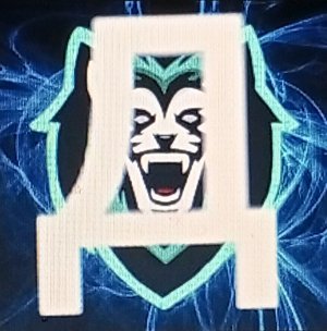 играем общаемся день 3