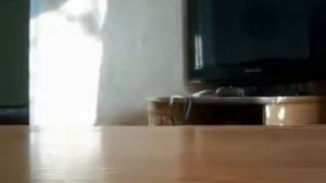 Трутневое личиночное молочко - гомогенат. Рецепт приг?