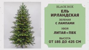 Black Box - ОБЗОР искусственной ели Ирландская зелёная с лампами