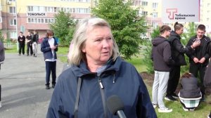 ВЫСАДКА ДЕРЕВЬЕВ