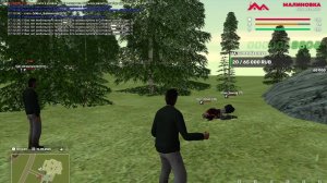 гта малиновка