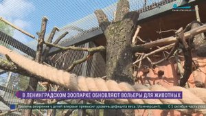 В Ленинградском зоопарке обновляют вольеры
