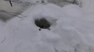 Пасека на связи 14