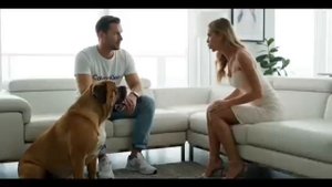 Про Выгул Собак))) Смотреть Всем