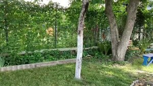 Уютный участок скрытый от соседских глаз. Простые реш?