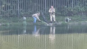 Форель под стадионом