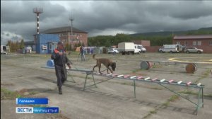 В Ингушетию со всей страны съехались кинологи МЧС