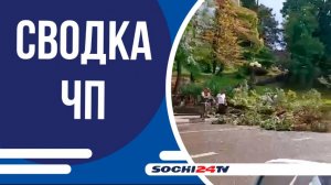 Залповый ливень затопил федеральную трассу Джубга-Сочи | СВОДКА ЧП