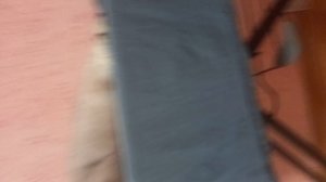 гладим Бусю на гладельной доске