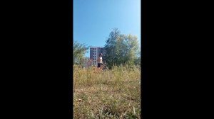 Тренировка камнями
