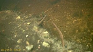 Испытание камеры под водой 05.04.24