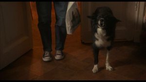 Двое в одной жизни - 2025 (09)