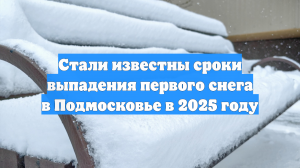 Стали известны сроки выпадения первого снега в Подмосковье в 2025 году