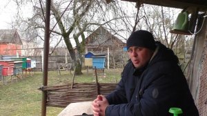 Почему пчёлы выбрасывают расплод? Ошибки пчеловода. П?