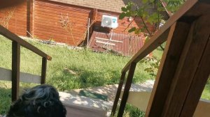 СОЧИ ГОРНОЕ ЛОО ДЕНЬ 10.09.2025