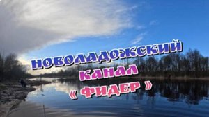 Фидерная рыбалка на Новоладожском канале!