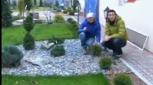 Дачные радости.Марина Рыкалина и Виталий Декабрев.