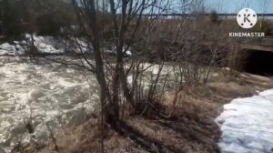 ВЕСНА!!! Белорецкий район. р.Кузъелга.mp4