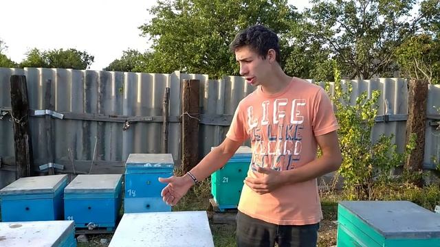 Пчеловодство сезон 2020 как это было у меня 😉🌻🌻🌻🏜️ смотреть онлайн