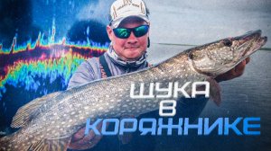 НА ЭТУ приманку ЩУКА в коряжнике КЛЮЕТ. Рыбалка на щуку осенью.