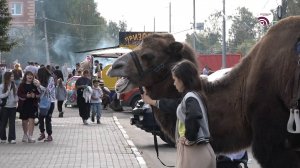 Как Старая Купавна отметила 677-й день рождения