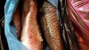 Распаковка продуктов.# Жарим пеленгаса