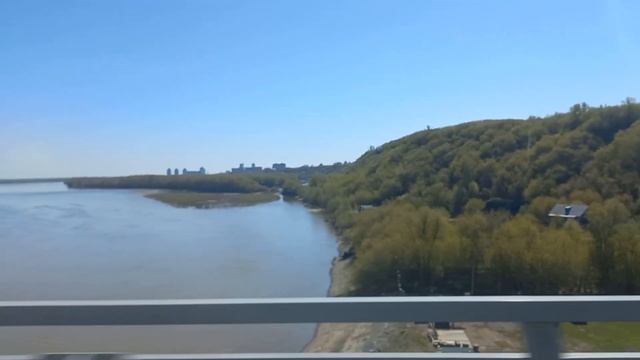 Едем до фазенды с пёселем смотреть онлайн