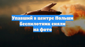 Упавший в центре Польши беспилотник сняли на фото
