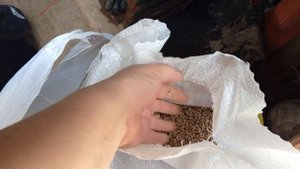 Дешевое удобрение,замена рыбной, костной муки и Орган?