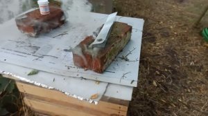 Обработка пчёл от клеща варроа 100% осыпался. Лечение пч