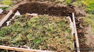 Все заросло травой ✔️Делаю новые грядки для овощей ✔