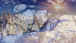 Алешин Анатолий . Танец Огня автор Олег Сапегин